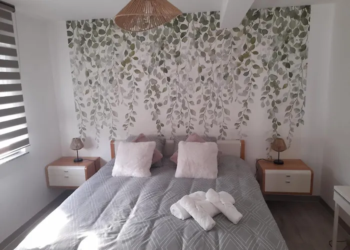 Apartment Chez Oezlem K Soufflenheim